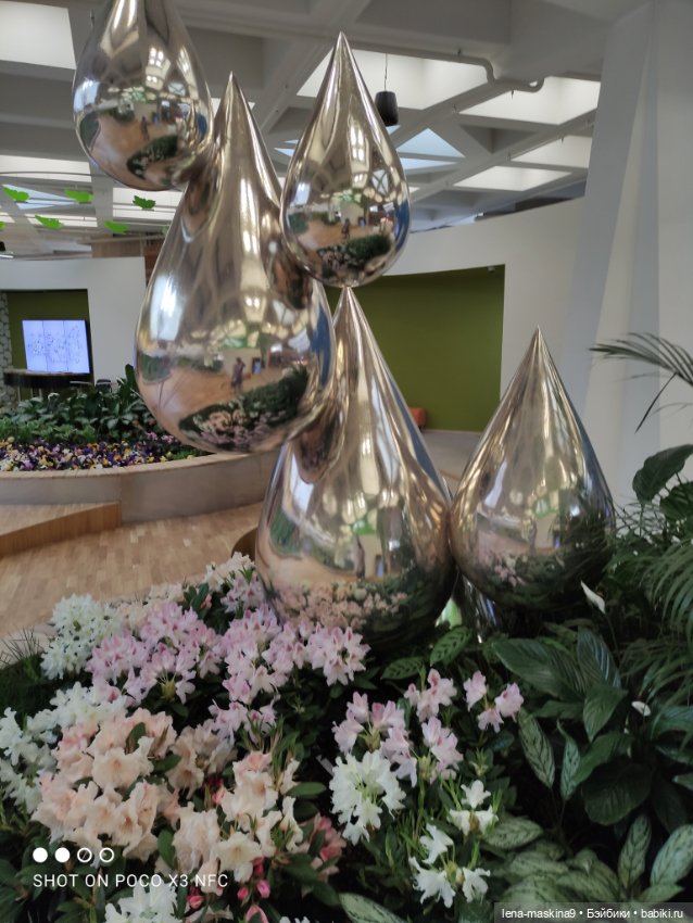 Лизонька (ВДНХ) - выставки