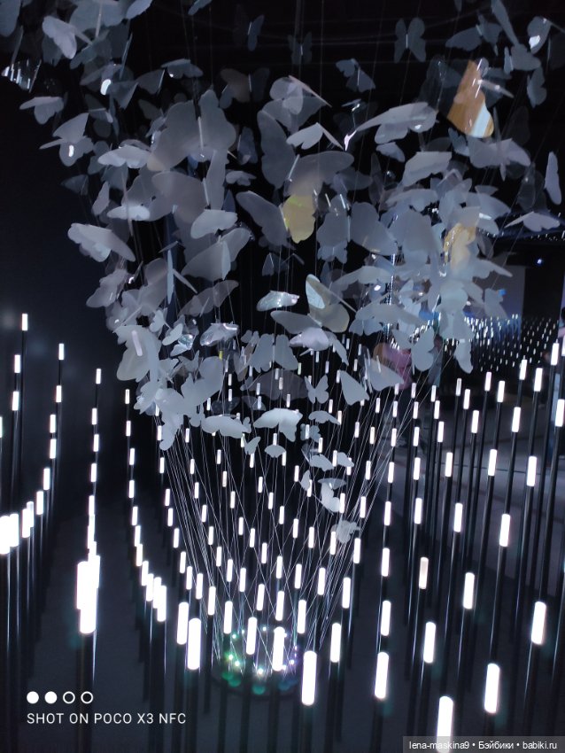 Лизонька (ВДНХ) - выставки (фото 4)