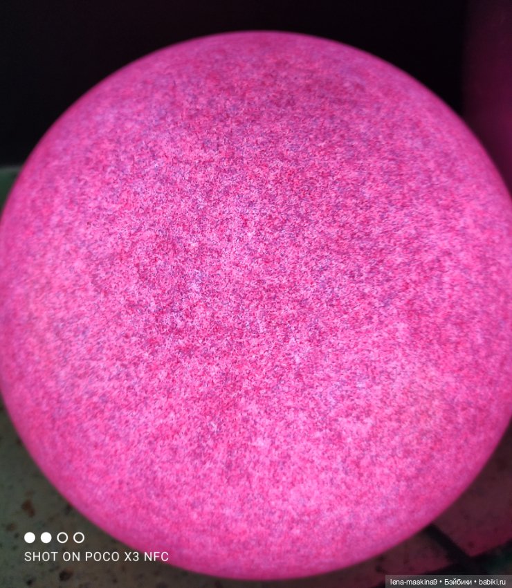 Лизонька (ВДНХ) - выставки (фото 3)