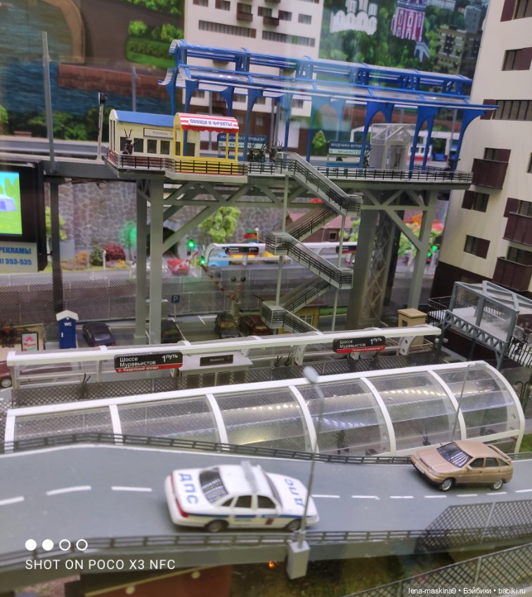 Лизонька (ВДНХ) - выставки