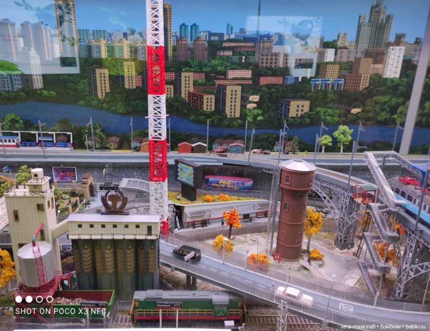 Лизонька (ВДНХ) - выставки