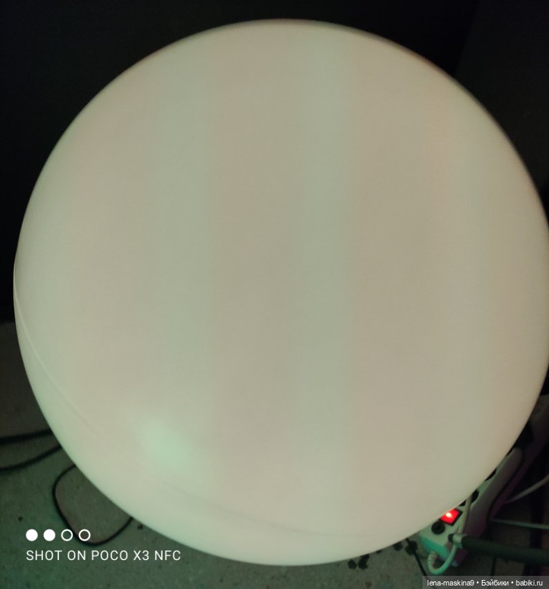 Лизонька (ВДНХ) - выставки (фото 7)