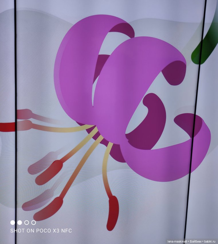 Лизонька (ВДНХ) - выставки