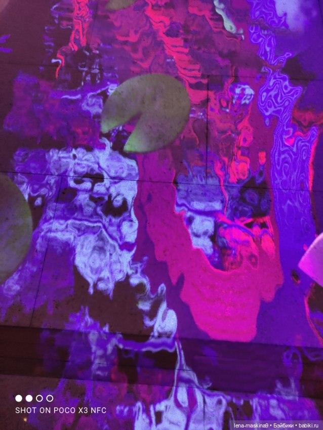 Лизонька (ВДНХ) - выставки