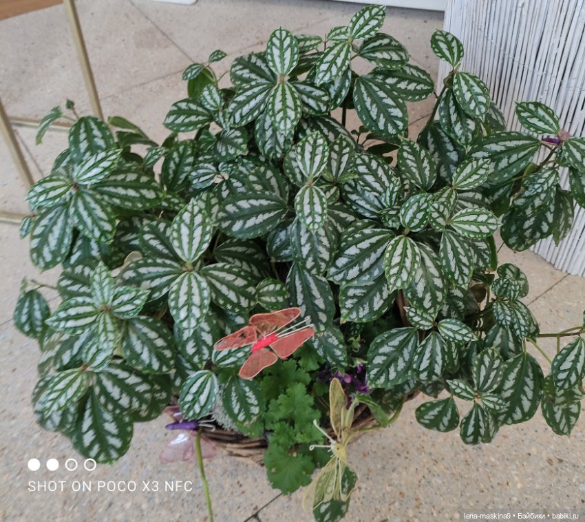 ВДНХ - (выставка) продолжение