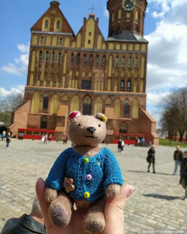 Приключения медвежонка на Калининградской земле (фото 6)