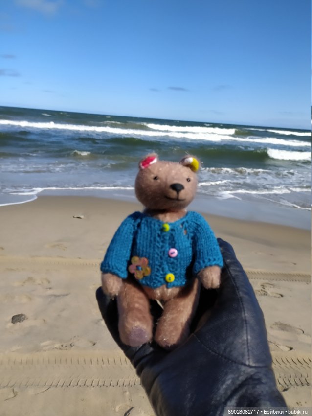 Приключения медвежонка на Калининградской земле