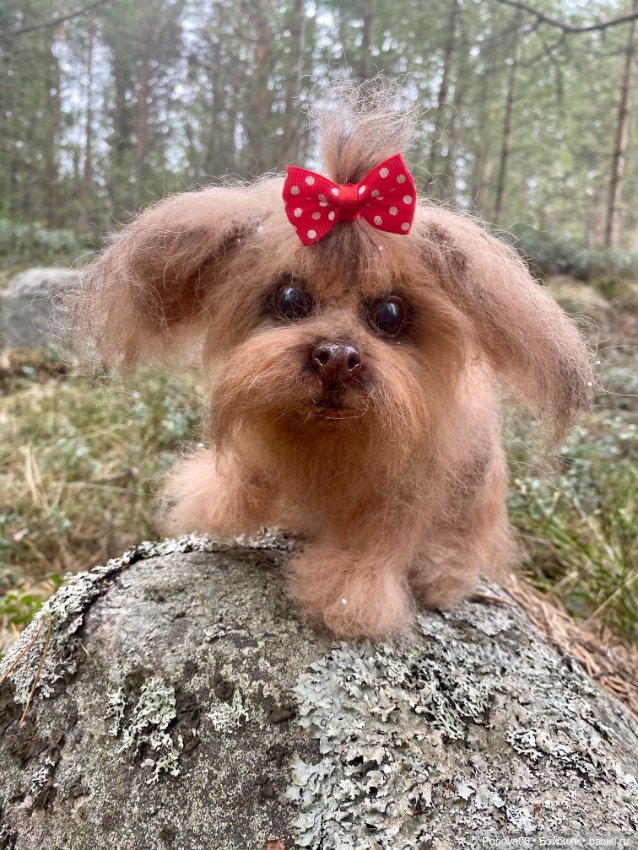 Реалистичная Аська — Вязаные игрушки и амигуруми: крючком (фото 7)