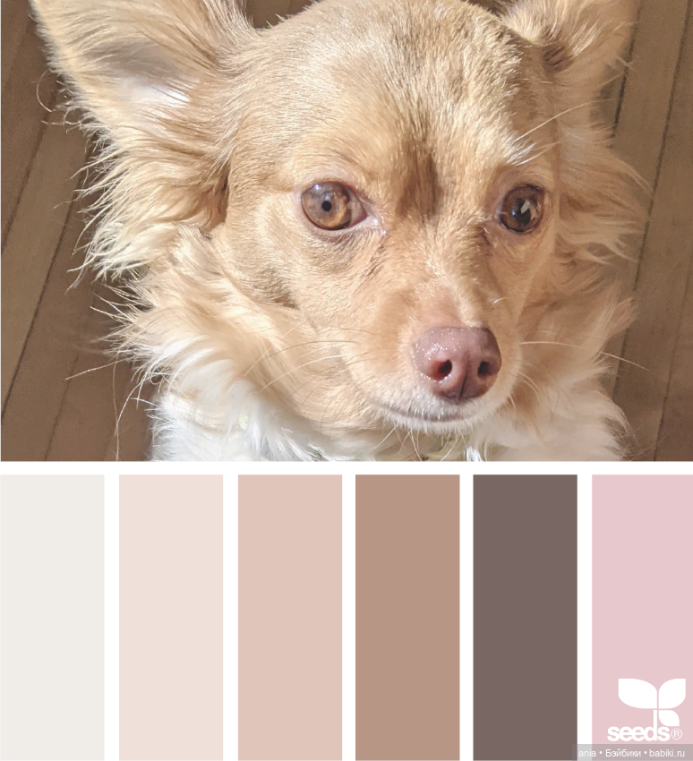 Красивое сочетание цветов