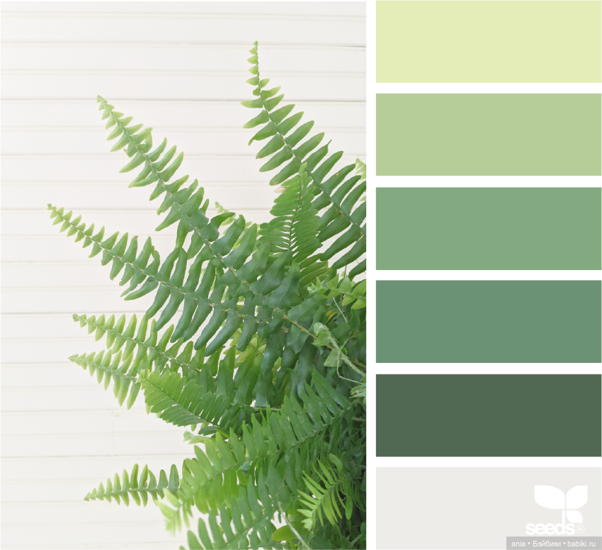 Красивое сочетание цветов (фото 3)