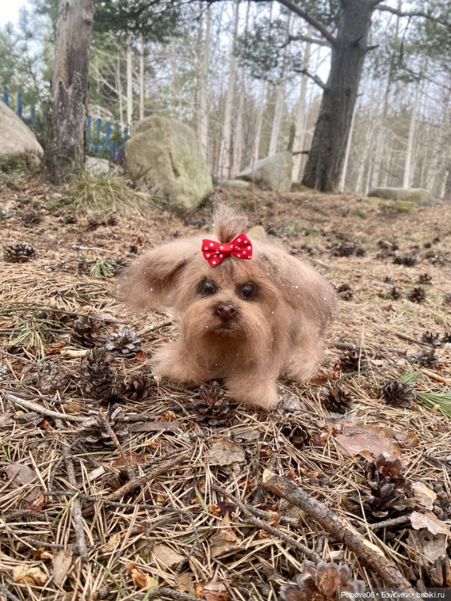 Реалистичная Аська — Вязаные игрушки и амигуруми: крючком