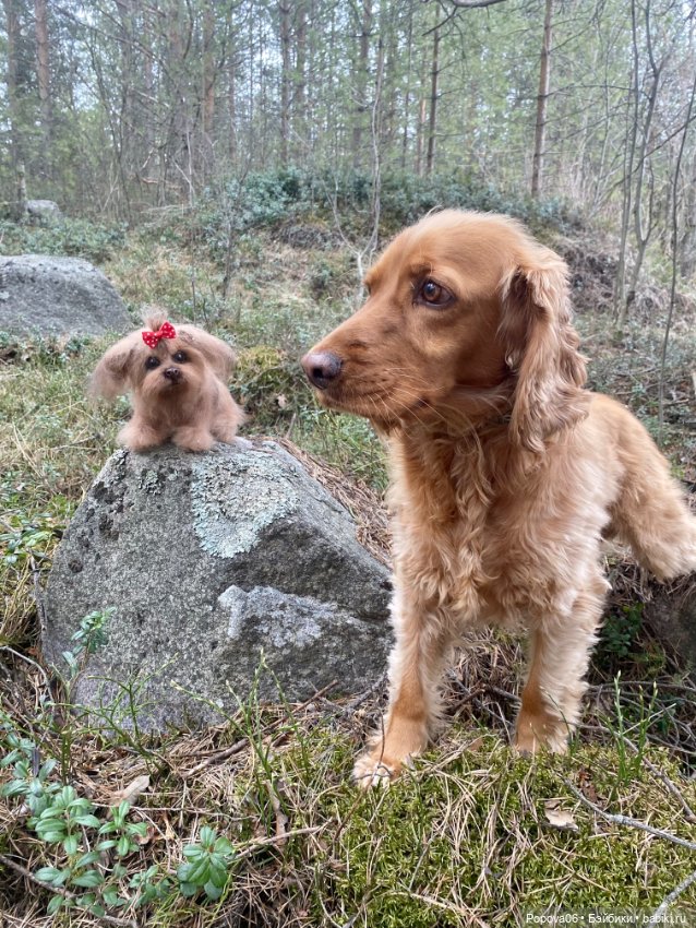 Реалистичная Аська — Вязаные игрушки и амигуруми: крючком