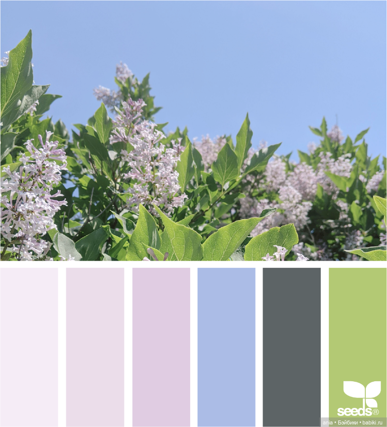 Красивое сочетание цветов (фото 9)