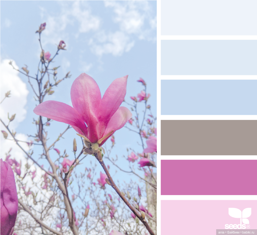 Красивое сочетание цветов