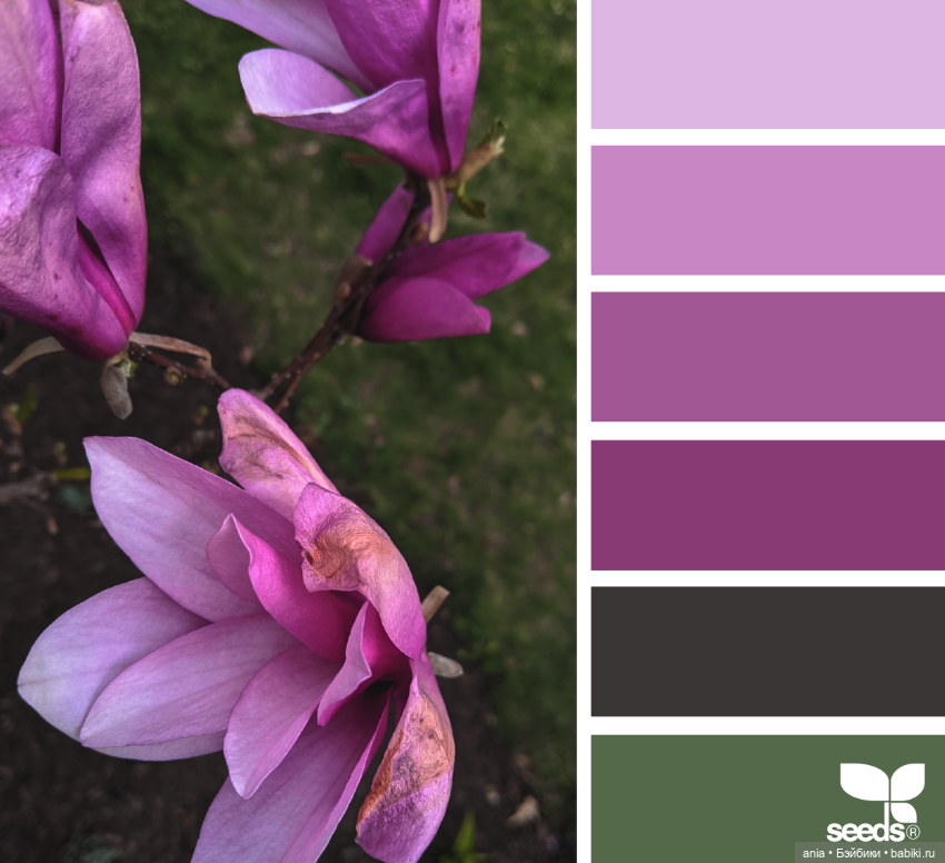 Красивое сочетание цветов (фото 4)