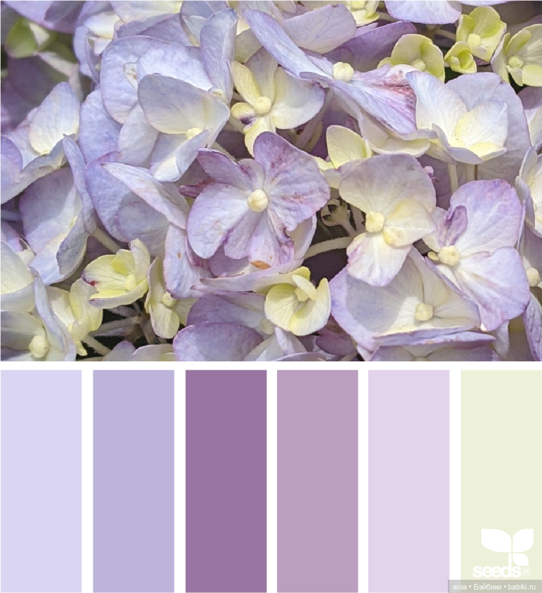 Красивое сочетание цветов