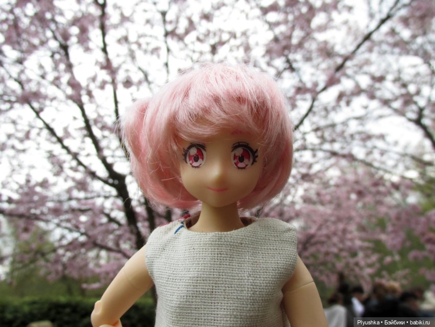 Цветение сакуры для Касуми. Часть 2. Ханами (фото 7)