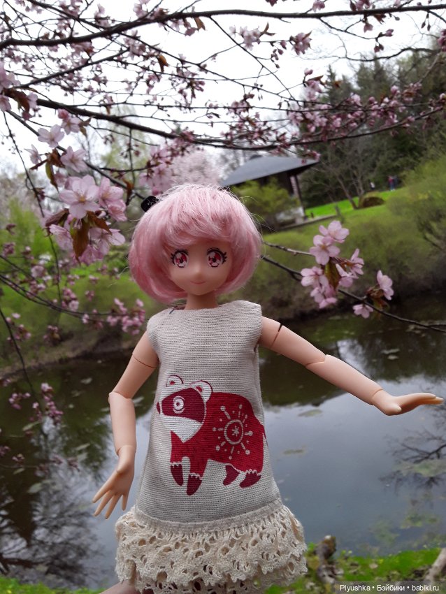 Цветение сакуры для Касуми. Часть 2. Ханами (фото 9)