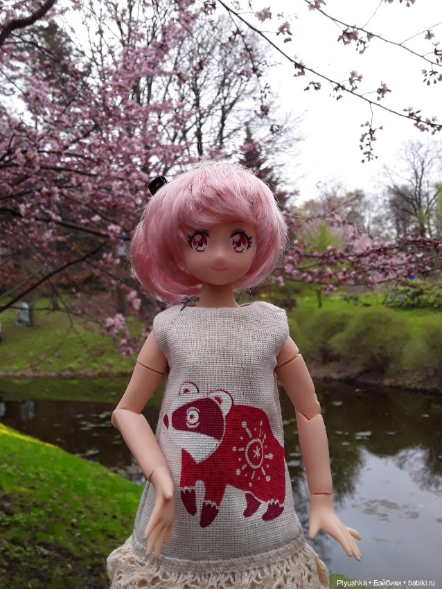 Цветение сакуры для Касуми. Часть 2. Ханами