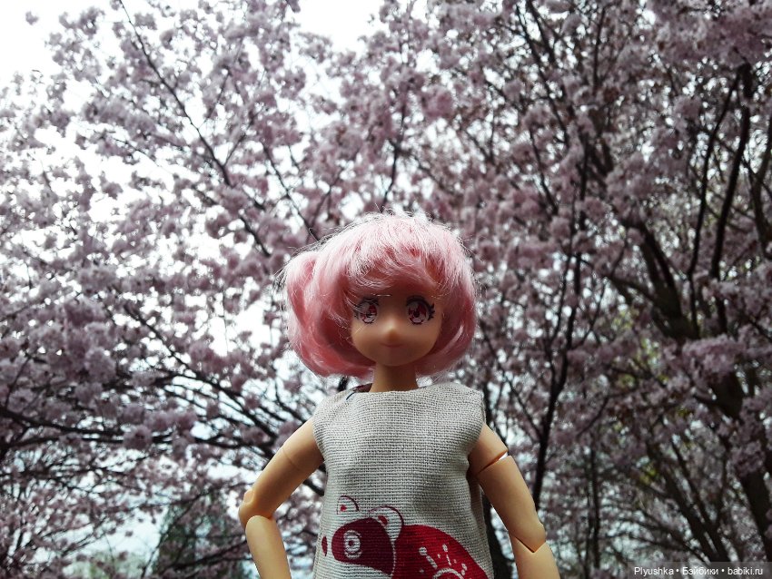 Цветение сакуры для Касуми. Часть 2. Ханами (фото 6)