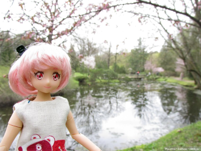 Цветение сакуры для Касуми. Часть 2. Ханами