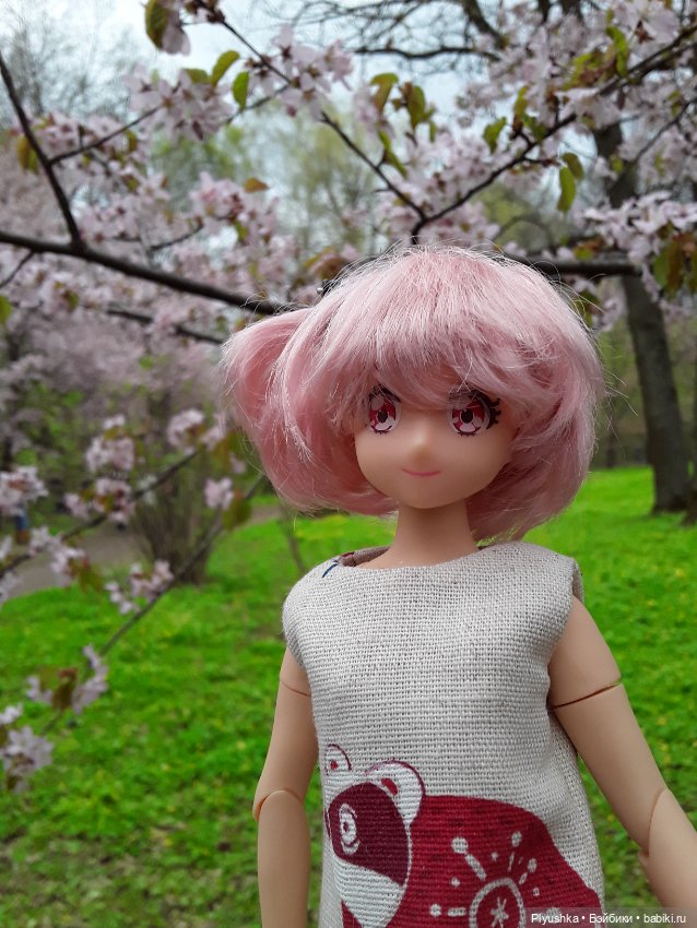 Цветение сакуры для Касуми. Часть 2. Ханами