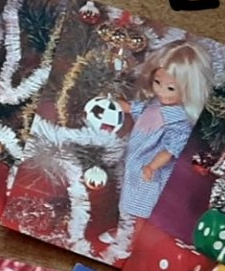 Бриджит невероятная красота и мечта коллекционеров (фото 9)