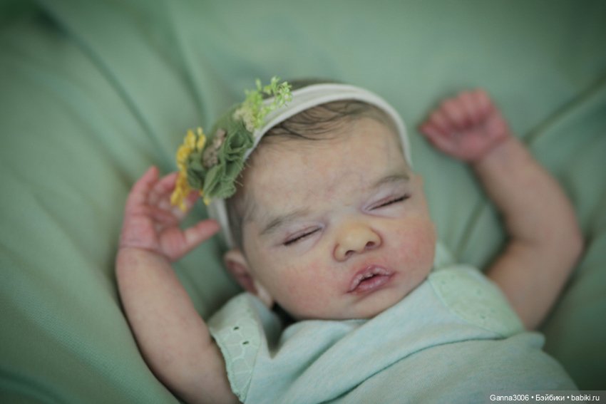 Малышка Амелия (Romy by Gulden Lager)