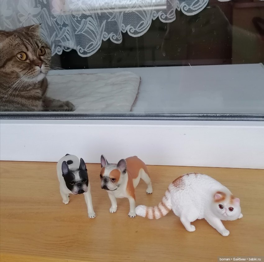 Домашние фото авторских кукол: личные коллекции