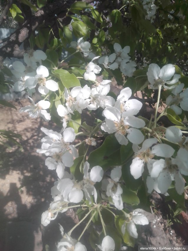 Майская прогулка — Куклы Минимир (Minimir): Пупсы 7 и 11 см