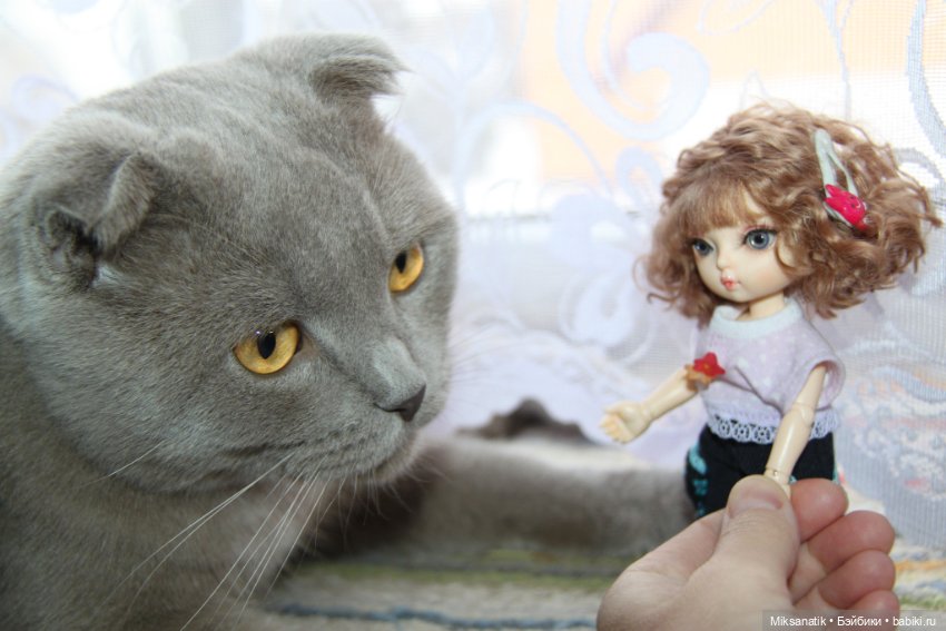 А у нас во дворе — Куклы Fairyland (ФэйриЛэнд): BJD (БЖД)