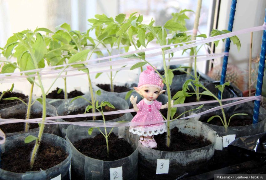 А у нас во дворе — Куклы Fairyland (ФэйриЛэнд): BJD (БЖД) (фото 9)