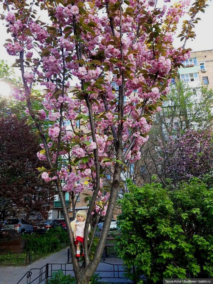 Нела и буйная весна — Куклы Beatrice Perini (Беатрис Перини): эмоциональные дети