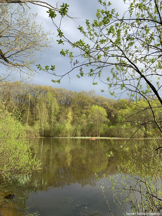 Халли и весна — Куклы Maru and Friends (Мару): молды Dianna Effner (фото 10)