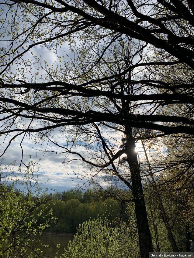 Халли и весна — Куклы Maru and Friends (Мару): молды Dianna Effner