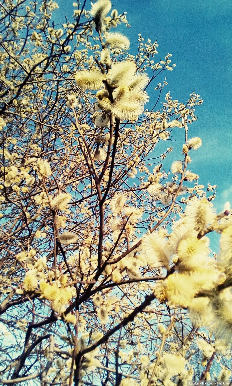 Болталка и разговоры обо всем: жизнь (фото 2)