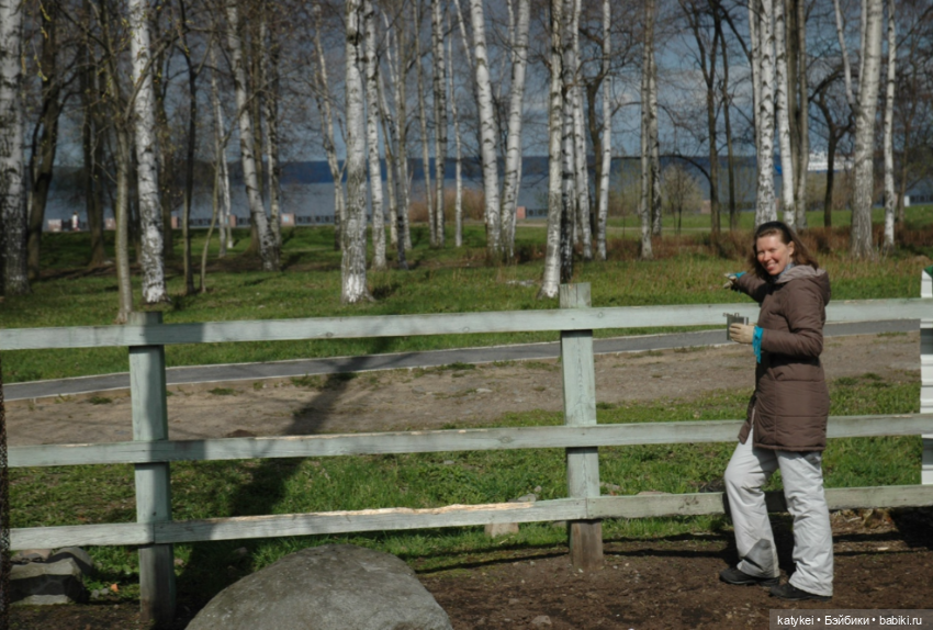 Болталка и разговоры обо всем: жизнь