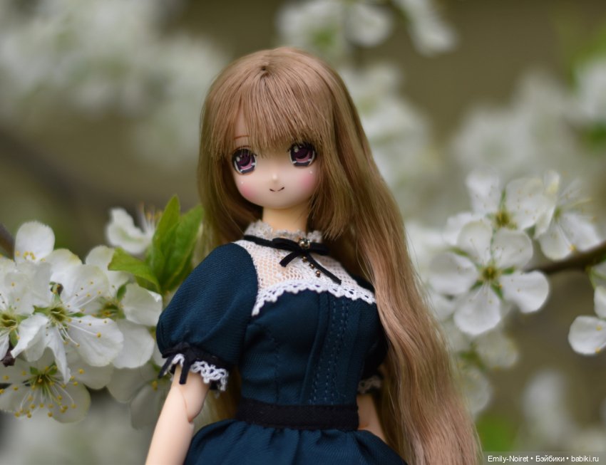 Долгожданное цветение — Домашние коллекции кукол: фото собраний