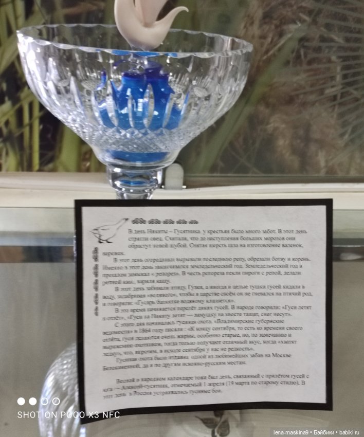 Город - Гусь Хрустальный - музей Гуся