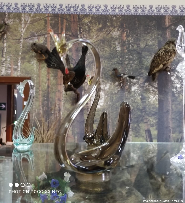 Город - Гусь Хрустальный - музей Гуся