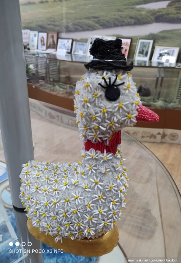 Город - Гусь Хрустальный - музей Гуся