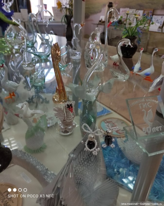 Город - Гусь Хрустальный - музей Гуся (фото 4)