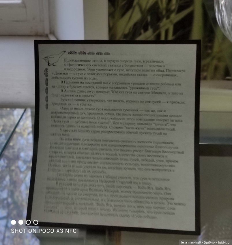 Город - Гусь Хрустальный - музей Гуся