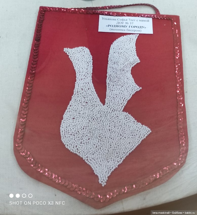 Город - Гусь Хрустальный - музей Гуся