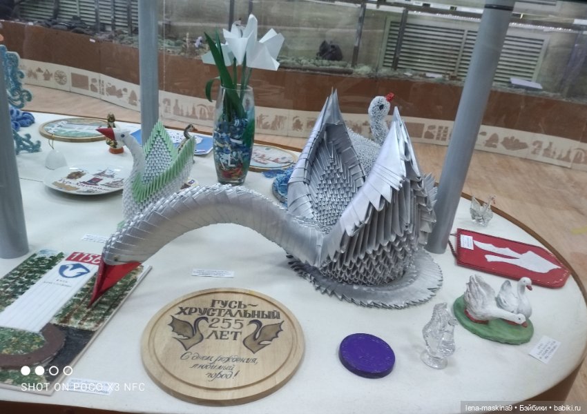 Город - Гусь Хрустальный - музей Гуся (фото 6)