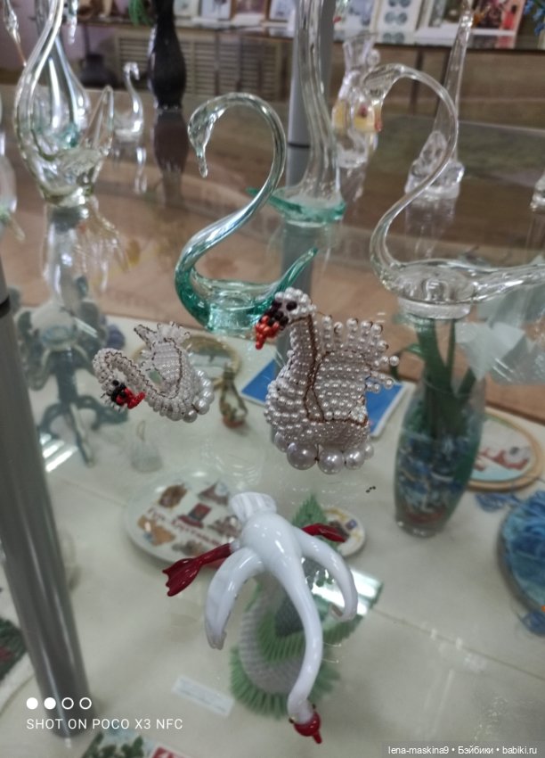 Город - Гусь Хрустальный - музей Гуся (фото 3)