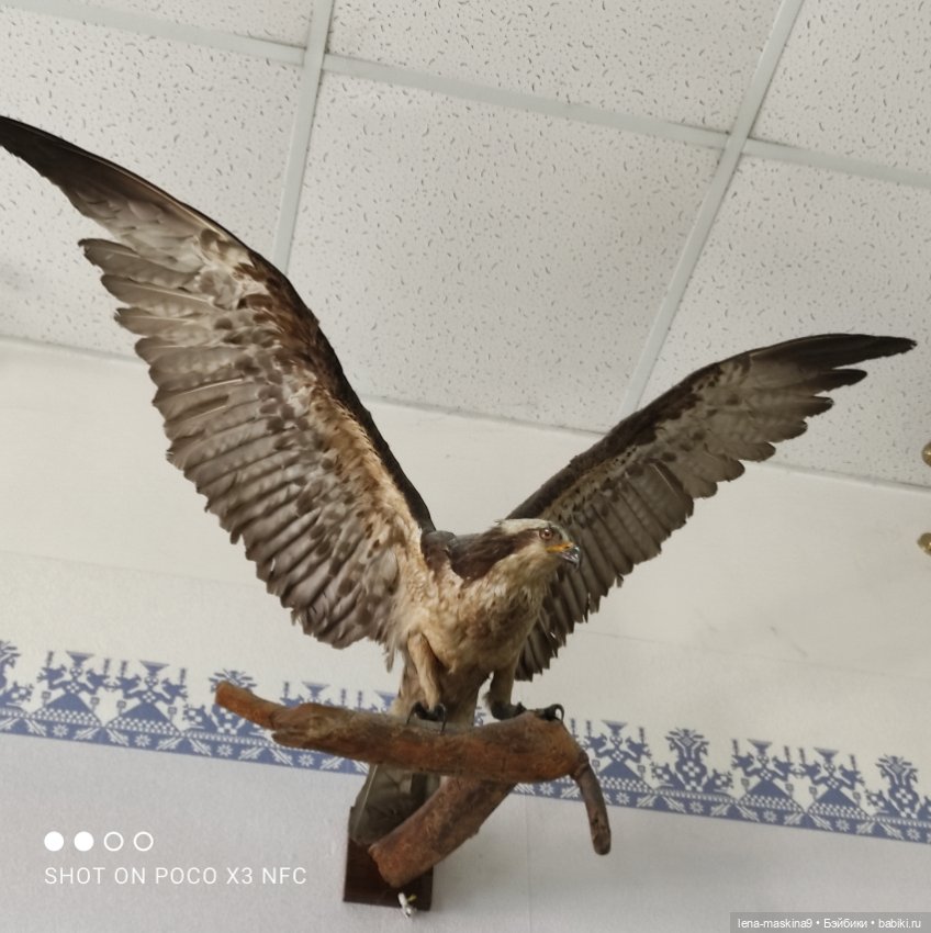 Музей - Гуся, в Городе Гусь Хрустальный