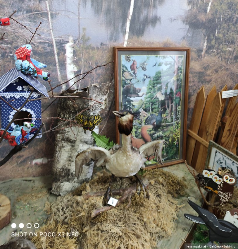 Музей - Гуся, в Городе Гусь Хрустальный