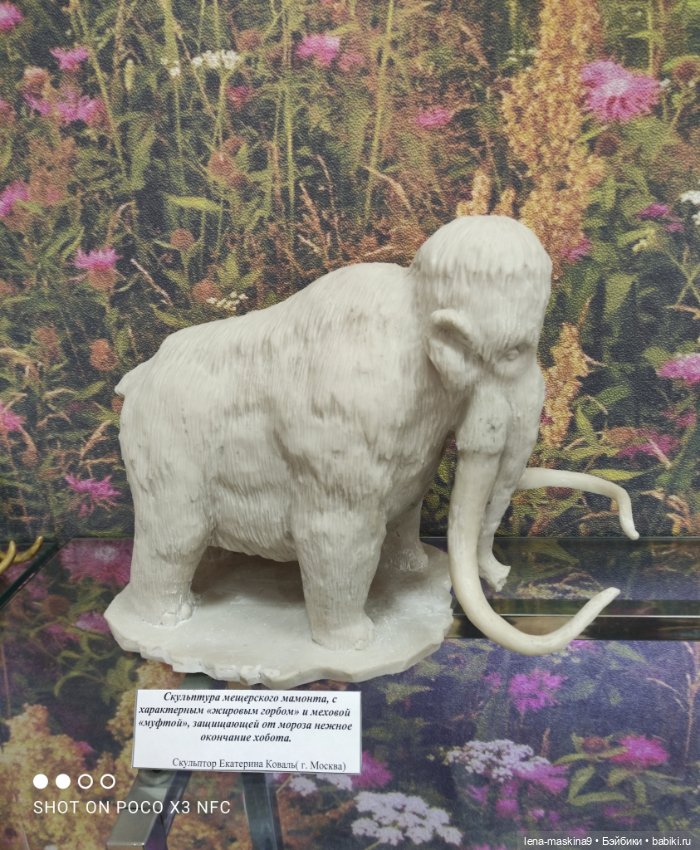 Музей - Гуся, в Городе Гусь Хрустальный