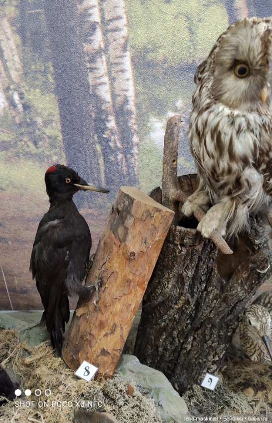 Музей - Гуся, в Городе Гусь Хрустальный